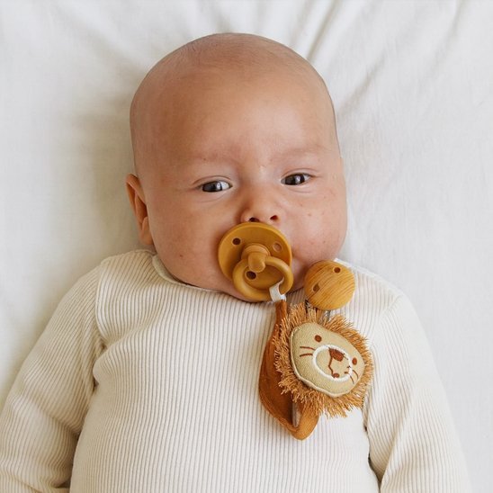 Attache tetine | Sécurité Bébé - Reve de maman